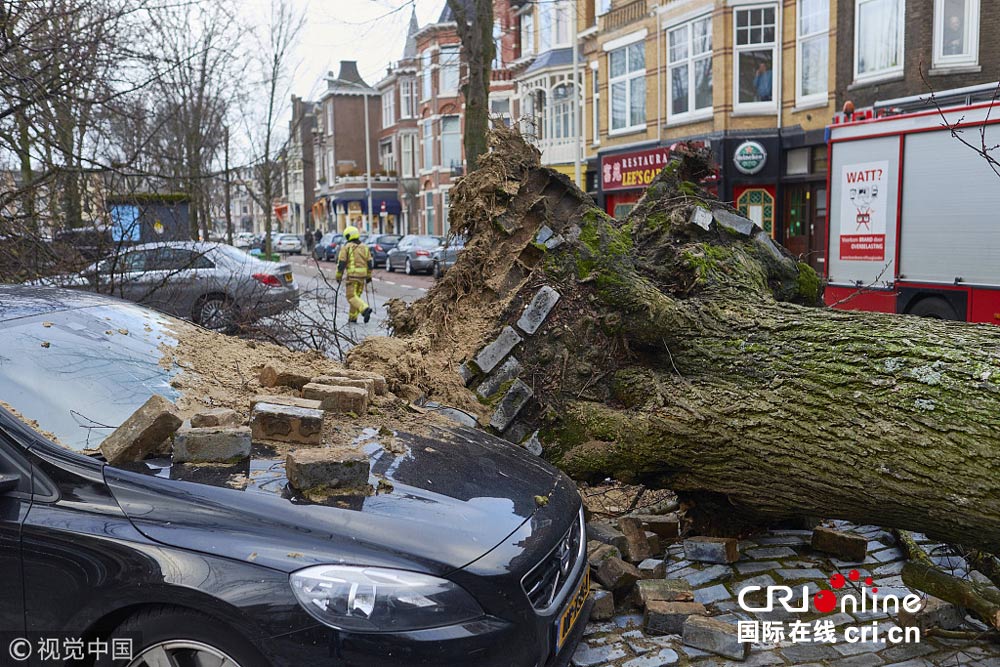 荷兰的城市交通也因为大树被吹倒而混乱不堪_fororder_CqgNOlphIiWAScXaAAAAAAAAAAA617.1000x667