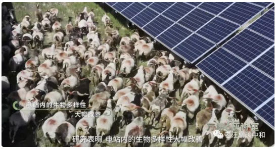 碳手印与ICT 欧洲能源转型与碳中和的深度思考