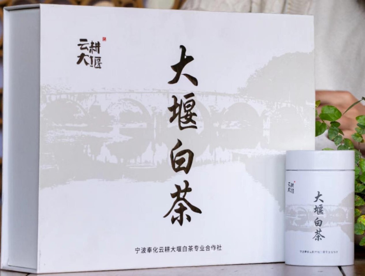 3千亩大堰生态白茶“摇钱树”长在浙江奉化