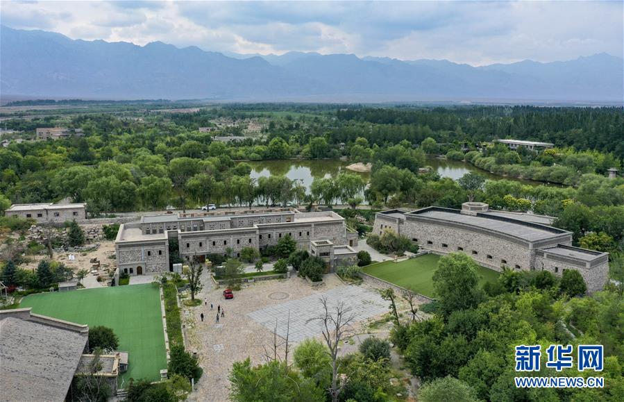 宁夏：产业融合擦亮“紫色名片”