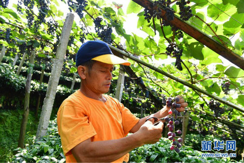 图片默认标题_fororder_1124900103_15663108636611n