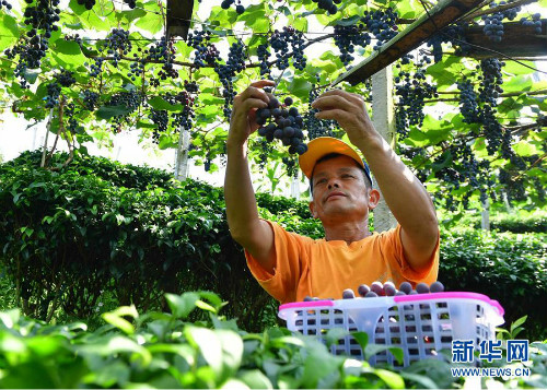 图片默认标题_fororder_1124900103_15663108636251n