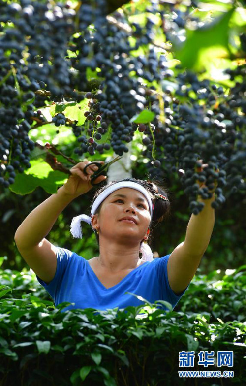 图片默认标题_fororder_1124900103_15663108637241n