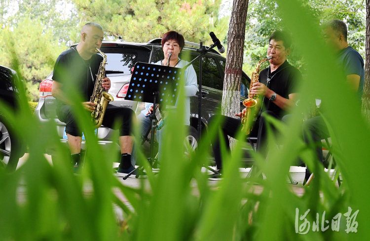 河北怀来：悠扬乐曲消暑时