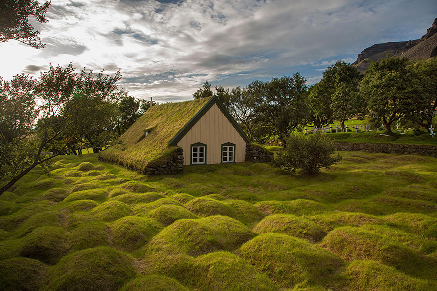 被草包围的北欧小屋：大自然恩赐的“最美绿色屋顶”（组图）