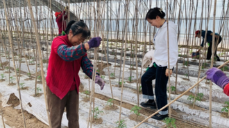 寧夏姚伏鎮：借力科技周 讓毒品原植物無處種植