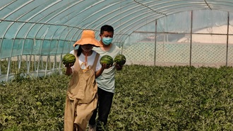 “小西瓜”吃出“大産業”！青銅峽蔣灘村産業園開園啦！