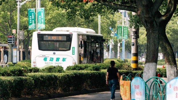 【区县新闻】上海崇明在全市率先恢复生产生活正常秩序的十件事
