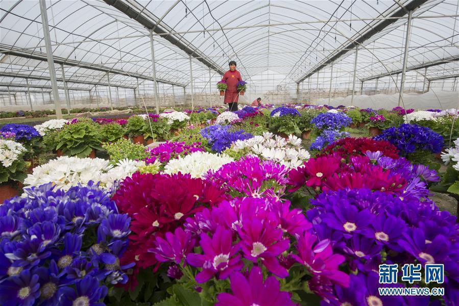 圖片默認標題_fororder_1