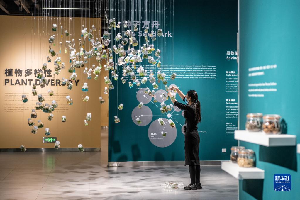 昆明有座“种子博物馆”