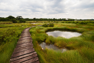 【行游巴渝　标题摘要】 周末一起去重庆这几个景色优美的湿地公园逛逛吧