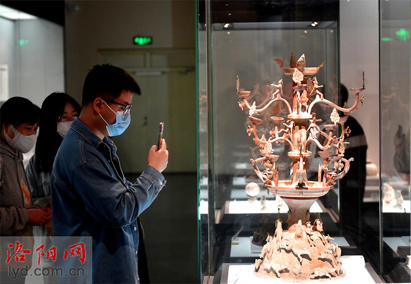 Nighttime Activities Held on Every Saturday in Six Museums in Luoyang_fororder_图片10