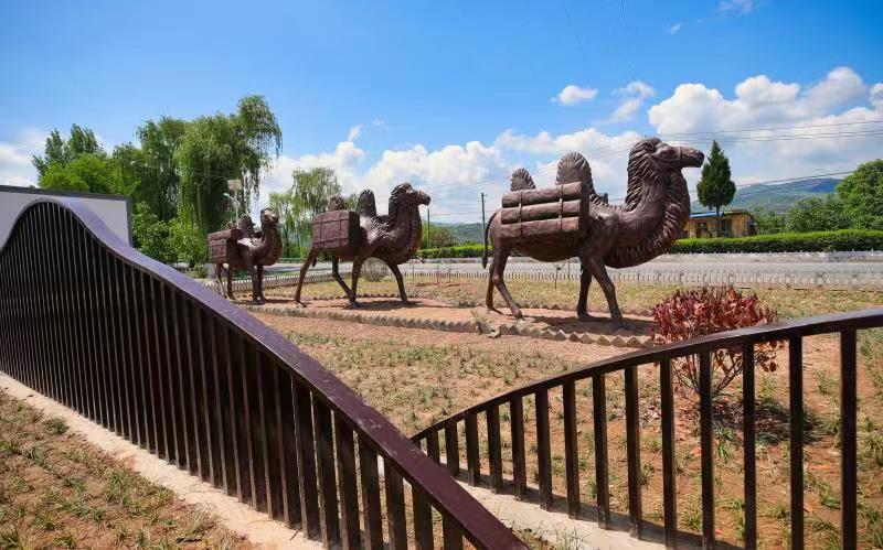 “汗水”换“新颜”，千阳县人居环境整治让乡村面貌焕然一新