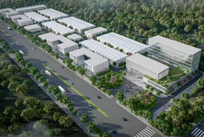 （转载）宝鸡金台区：“小”面皮成就“大”产业