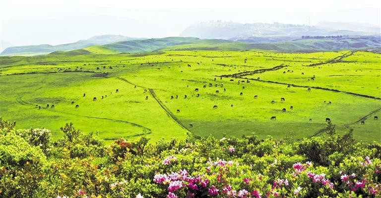 金彩盘州：度假康养胜地_fororder_中首3