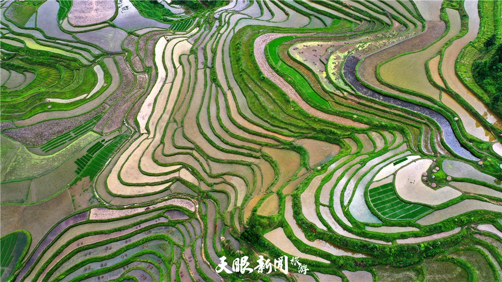 黔南贵定腊利梯田：夏日风光如诗如画 秦刚