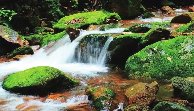 生态通化：风景这边独好_fororder_3822bbe7-e09b-4800-b58d-c4422e2117d3