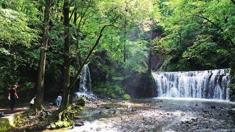 生态通化：风景这边独好_fororder_3bd89e95-e00e-47b9-b25f-c2379384f316