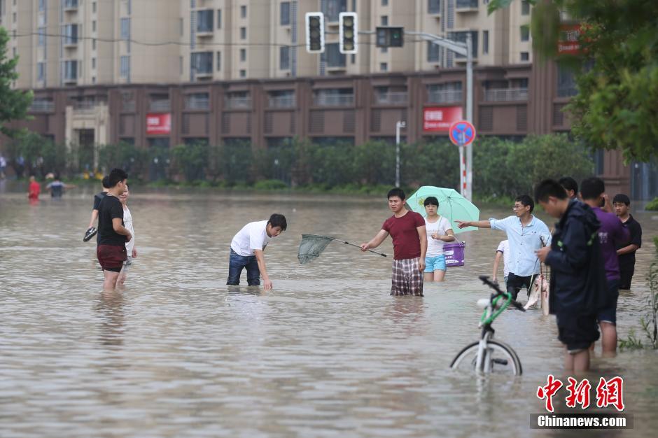南京内河水位上涨 居民小区成“渔港”