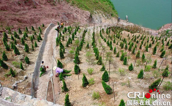 已过审【环保视点专题 要闻 摘要】重庆市巫山县持之以恒筑牢生态屏障