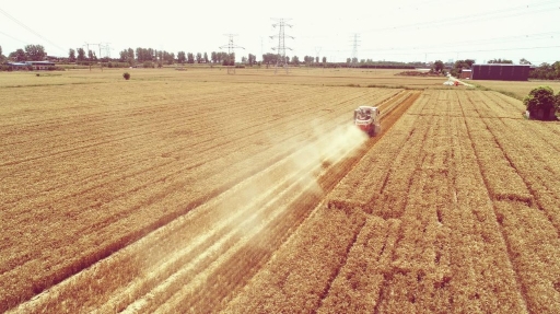 （转载）风吹麦浪! 高陵12.96万亩小麦收割正忙