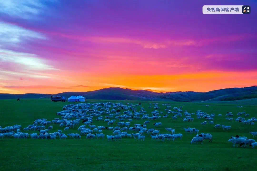 内蒙古阿鲁科尔沁草原游牧系统被认定为全球重要农业文化遗产_fororder_IMG_2772的副本.JPG