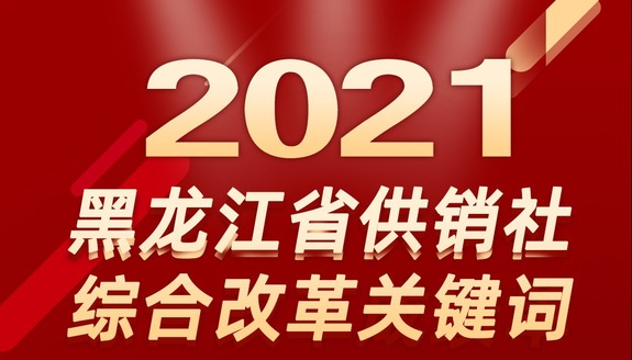提档进位 奋发有为  2021年黑龙江省供销社综合改革关键词