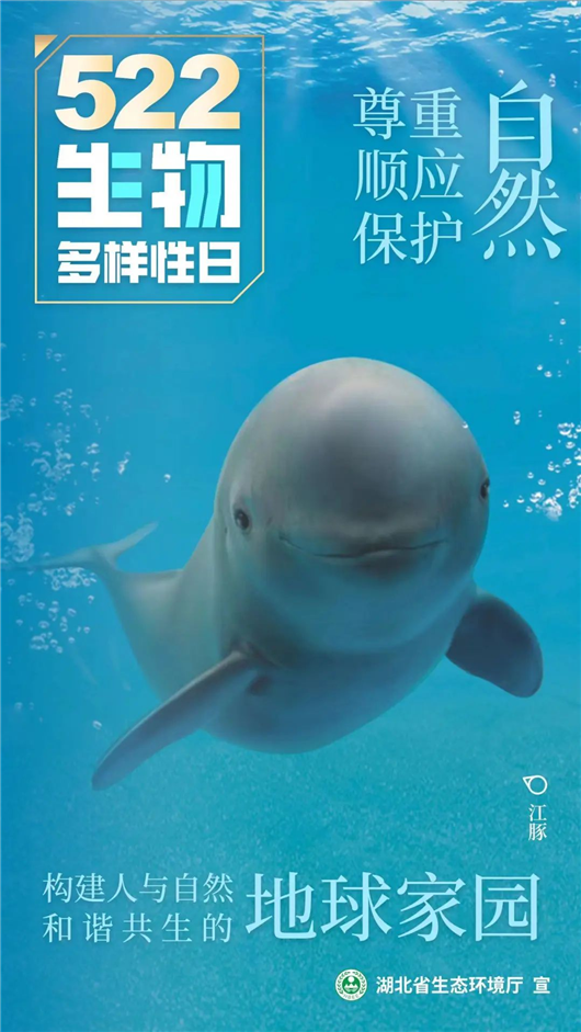 湖北省生态环境厅发布国际生物多样性日宣传视频与海报_fororder_图片2