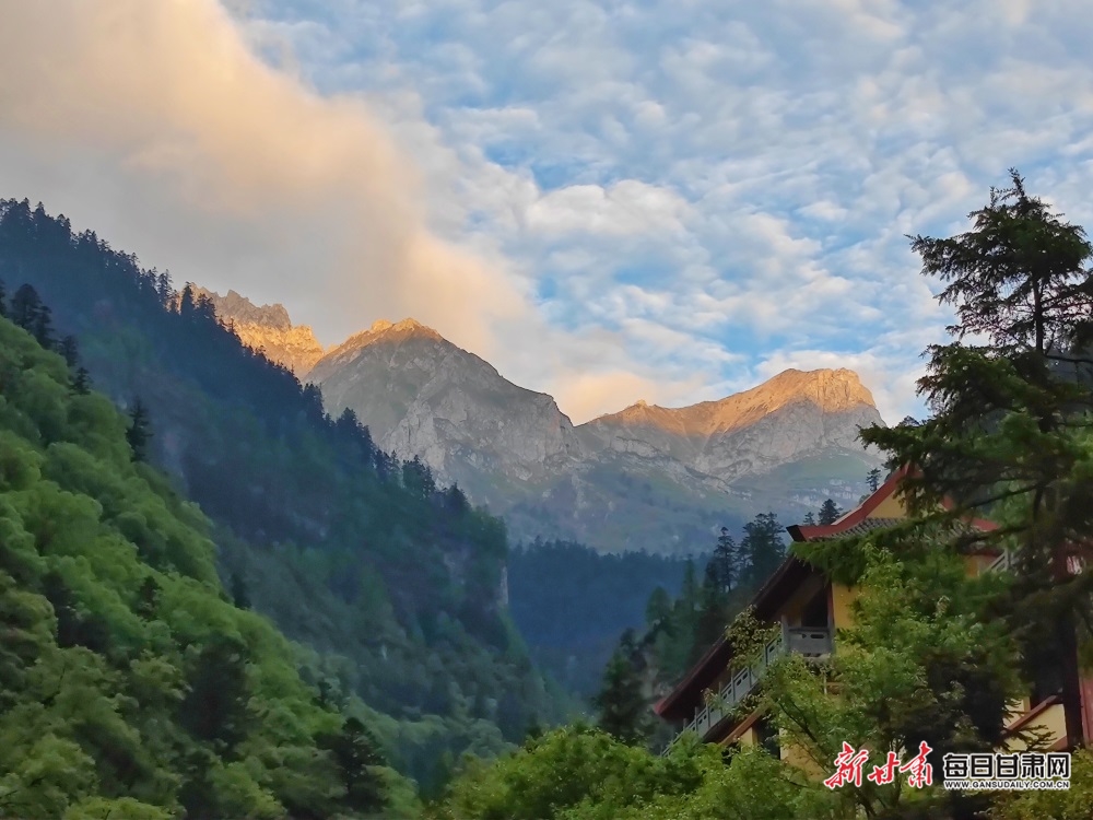 【焦点图】陇南烟雨雷古山 十里杜鹃艳_fororder_1