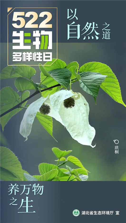 湖北省生态环境厅发布“国际生物多样性日”宣传视频与海报_fororder_WechatIMG4