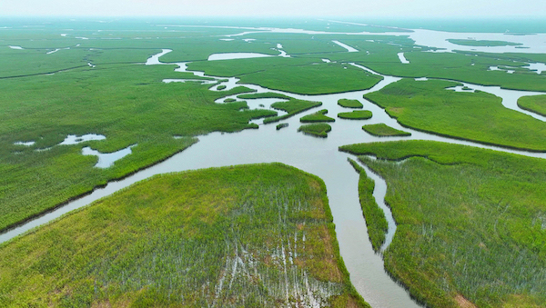辽宁辽河口国家级自然保护区 供图 宝马集团"bmw美丽家园行动"项目于5