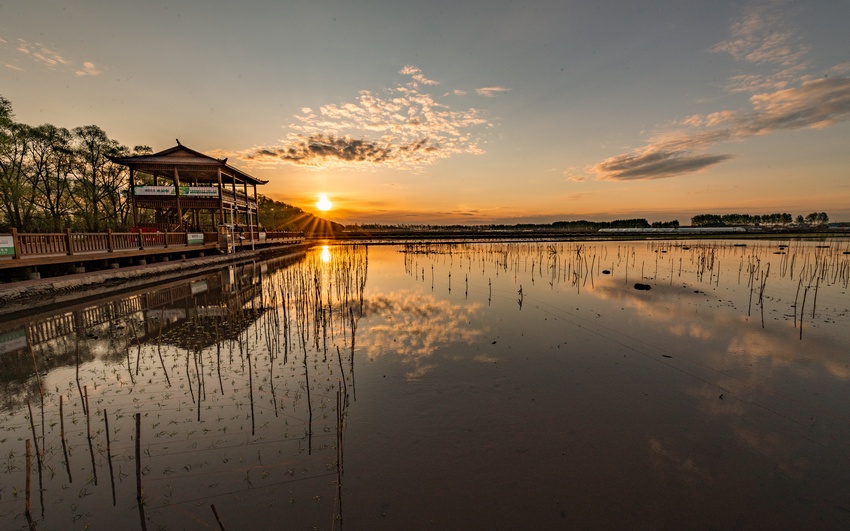 水稻插秧正当时！看黑土地上的“春耕画卷”