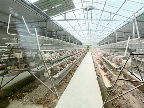 宁圣农业供应链集团赴甘肃调研 推动相关产业创新变革