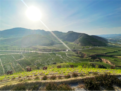 宁圣农业供应链集团赴甘肃调研 推动相关产业创新变革