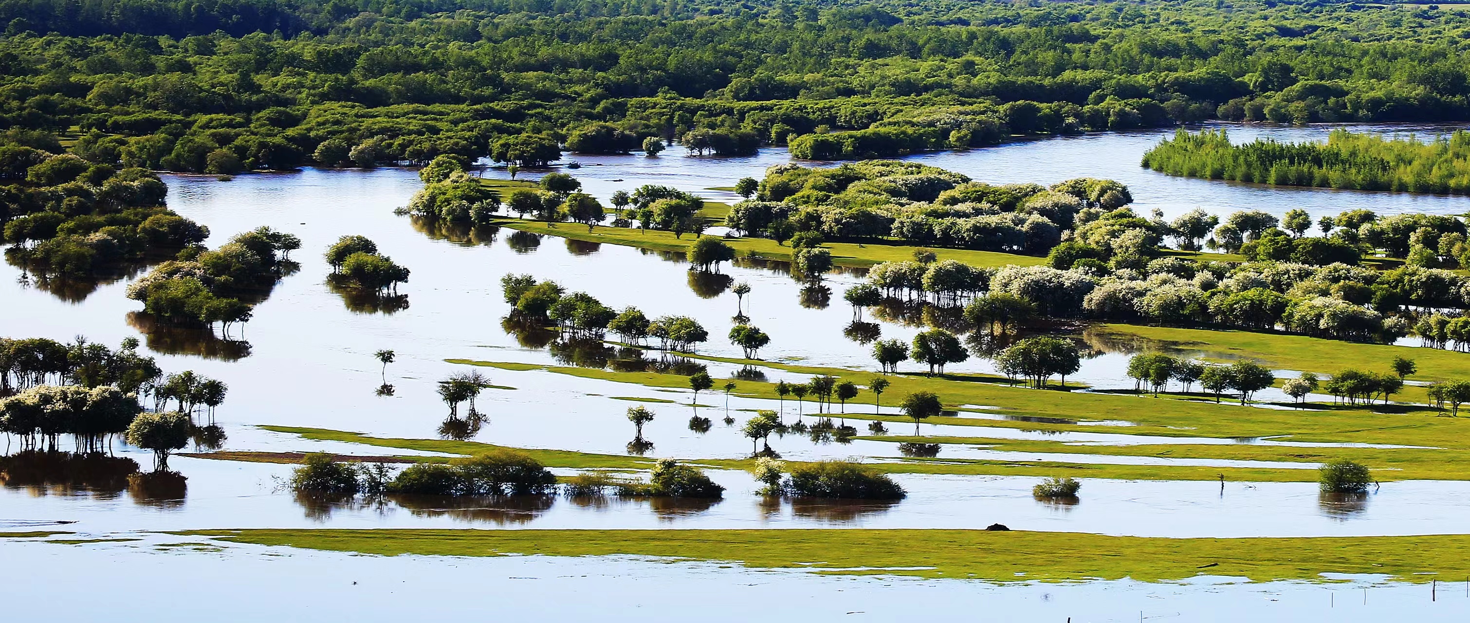 内蒙古呼伦贝尔市已建立13处国家湿地公园_fororder_1