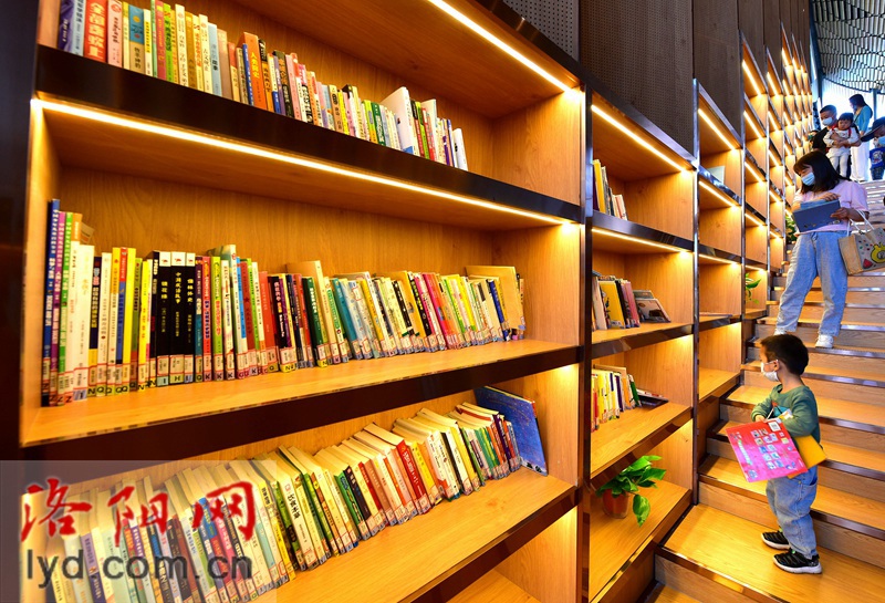 文博融合 ！博物馆里“品读洛阳 读懂历史”