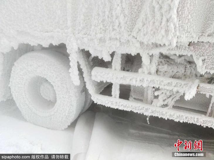 图片默认标题_fororder_26993727_941518456003002_3790477910860623021_n