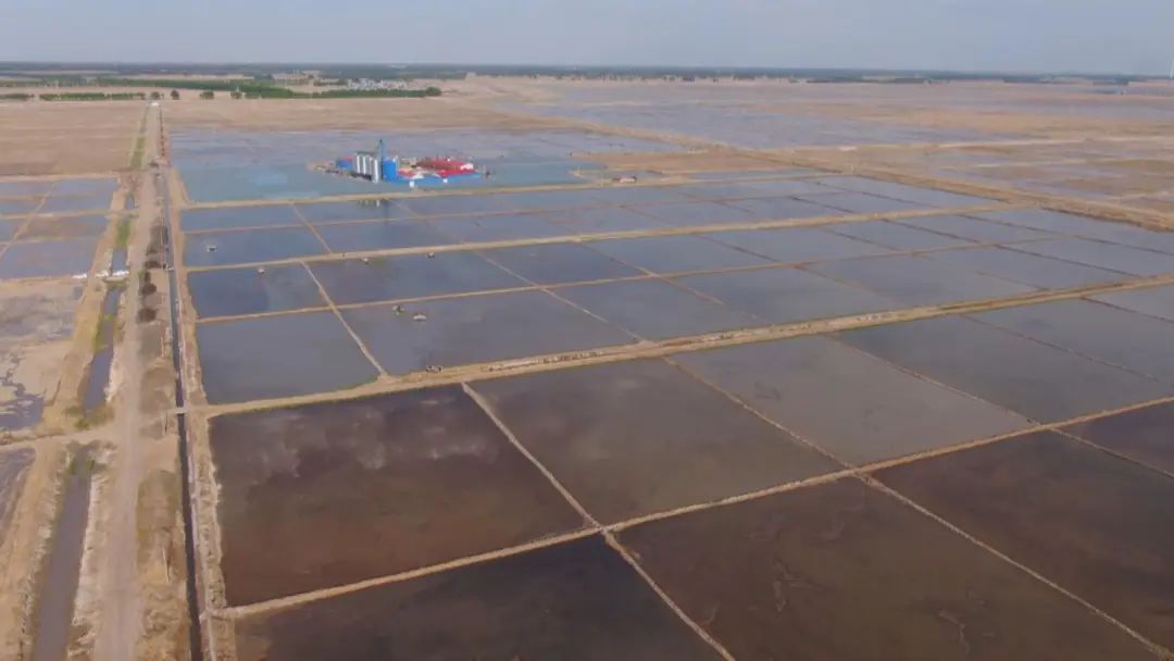 白城大安：鹽鹼地上稻花香