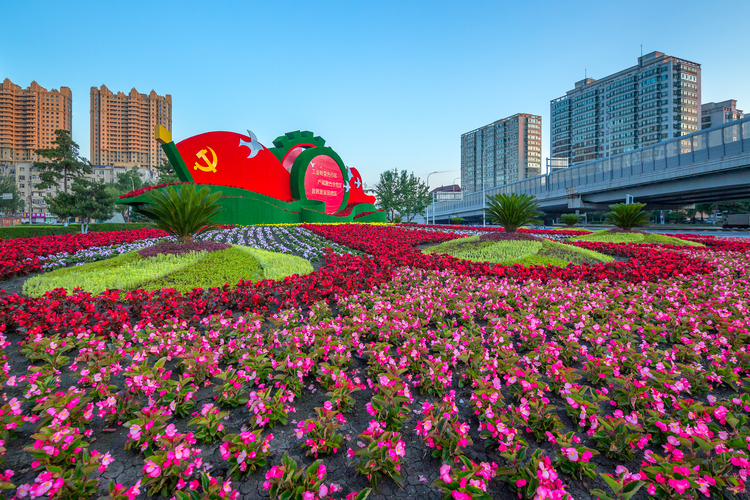 哈尔滨城中“花海”：妆扮了城区，美丽了街景