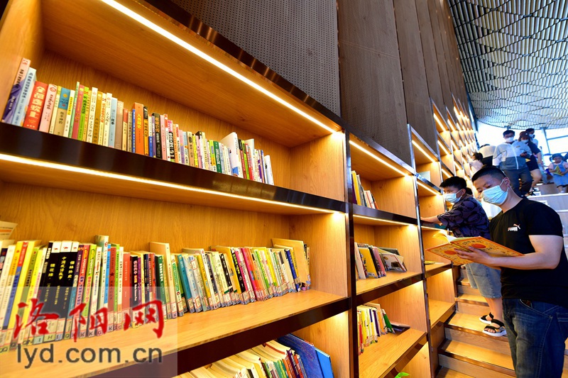 文博融合 ！博物馆里“品读洛阳 读懂历史”