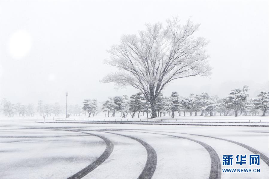 日本东京迎初雪