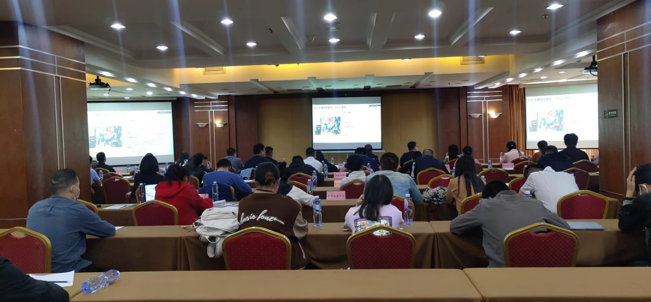 大龙网成功举办巴西-贵阳数字贸易洽谈会