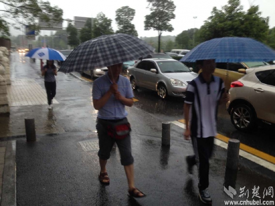 暴雨中的前行者 致敬“武汉人的上班精神”(组图)-国际在线