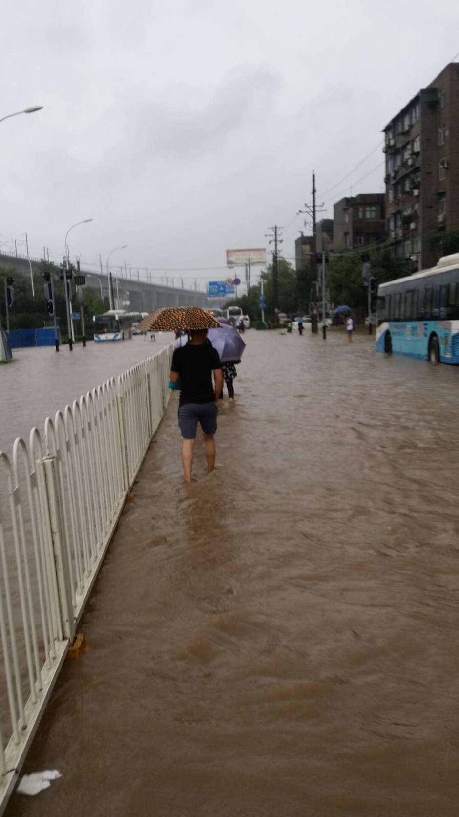 暴雨中的前行者 致敬“武汉人的上班精神”(组图)-国际在线