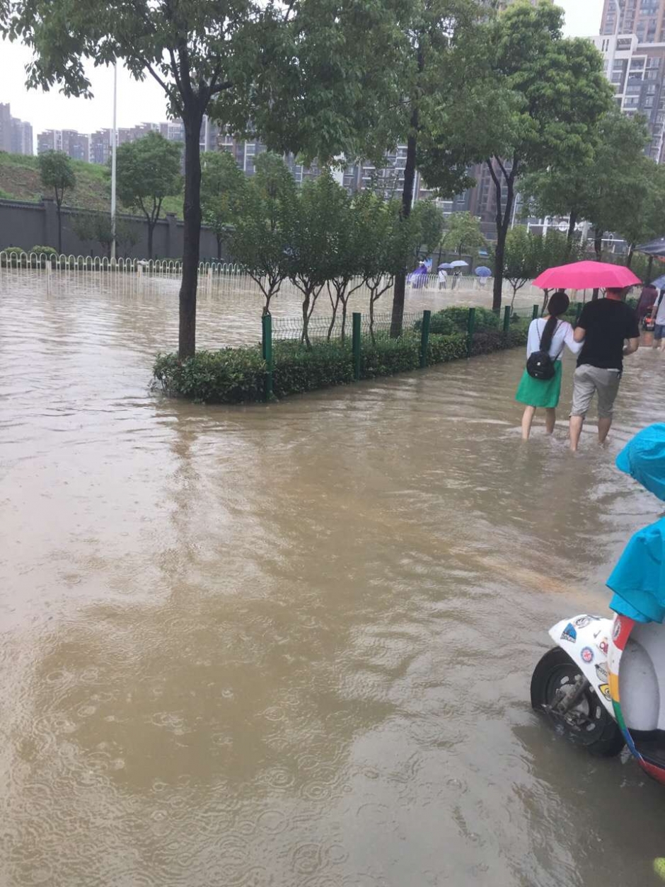 暴雨中的前行者 致敬“武汉人的上班精神”(组图)-国际在线