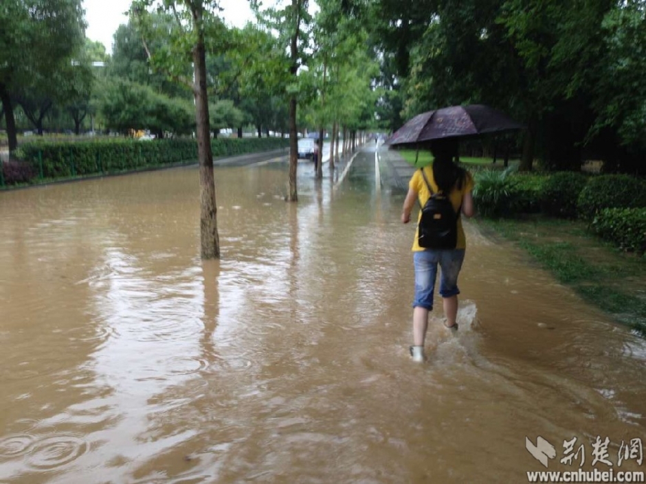 暴雨中的前行者 致敬“武汉人的上班精神”(组图)-国际在线