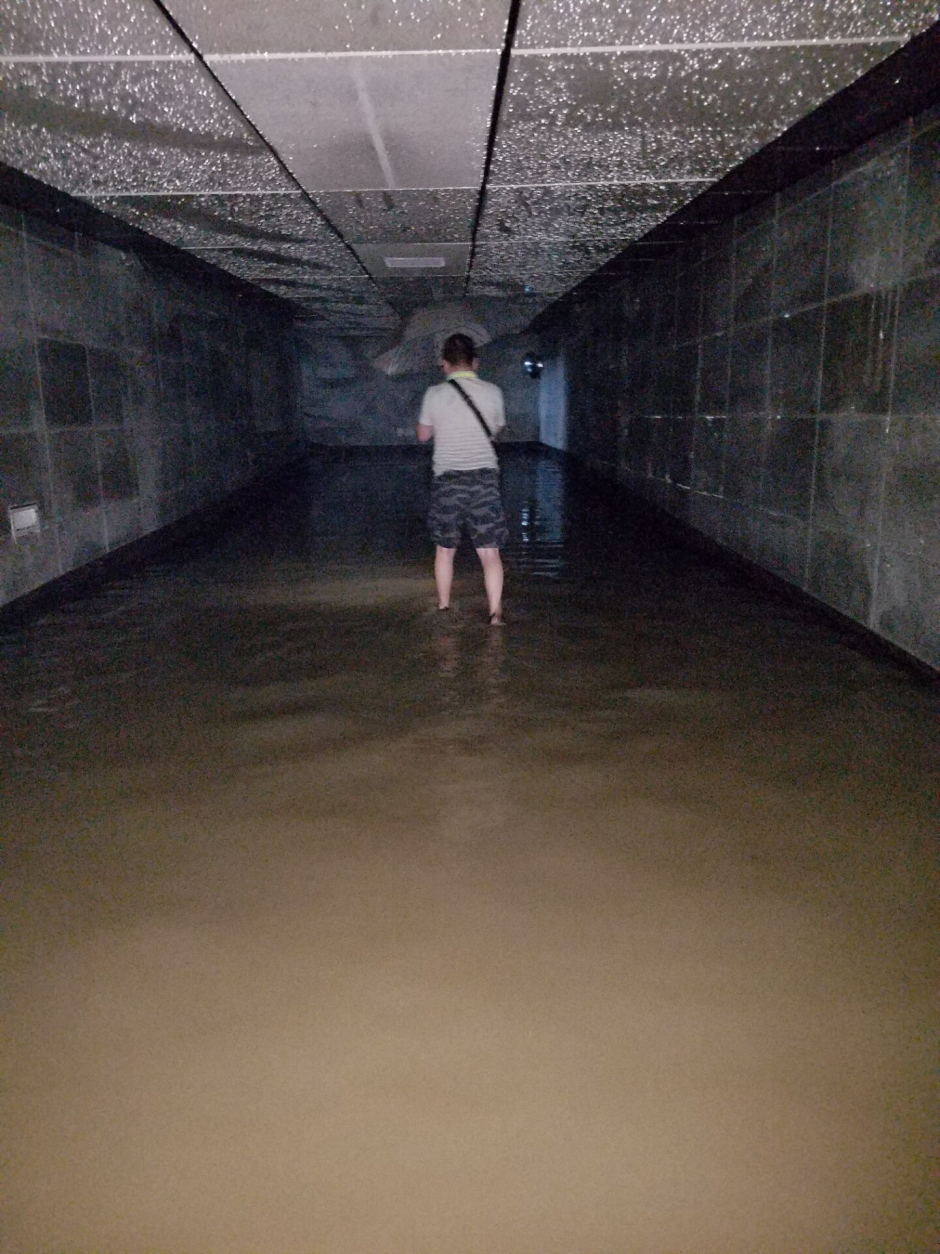暴雨中的前行者 致敬“武汉人的上班精神”(组图)-国际在线