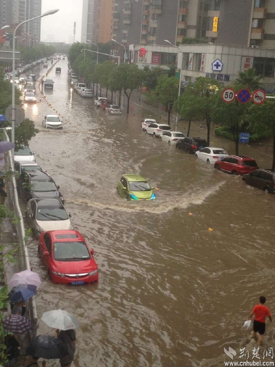 暴雨中的前行者 致敬“武汉人的上班精神”(组图)-国际在线