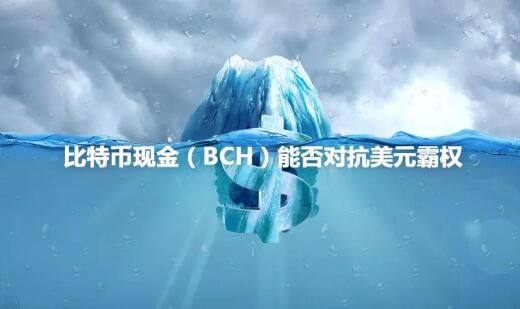 比特币现金BCH能否对抗美元霸权