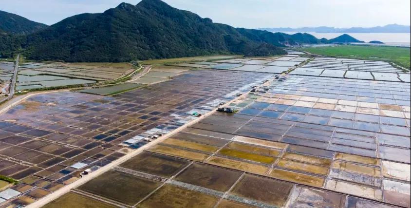 绝美！宁波这个地方 开启“调色板”模式